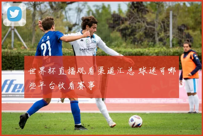 世界杯直播观看渠道汇总 球迷可哪些平台收看赛事