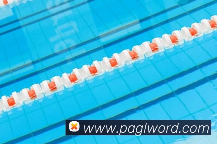 nba在线直播平台生态图